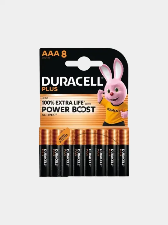 Batterie alcaline Duracell